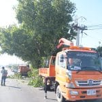 กองช่าง ดำเนินการตัดแต่งกิ่งไม้บริเวณริมถนนเลียบทางรถไฟ (Local Road) ช่วงคลองรังสิตประยูรศักดิ์ – สะพานปทุมธานี – รังสิต เพื่อป้องกันการเกิดอุบัติเหตุและเพื่อความเป็นระเบียบเรียบร้อย