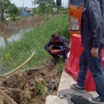 องค์การบริหารส่วนจังหวัดปทุมธานี ดำเนินการซ่อมแซมไฟฟ้าส่องสว่างทางสาธารณะ บริเวณเลียบคลองส่งน้ำที่ 8 ซ้าย หมู่ที่ 5 – 6 ตำบลคลองสาม อำเภอคลองหลวง
