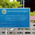 กองช่าง ดำเนินการตรวจสอบไฟฟ้าส่องสว่างทางสาธารณะ บริเวณถนนคอนกรีตเสริมเหล็ก ทางหลวงท้องถิ่นสายบ้านโพธิ์ – บ้านทางยาว ตำบลคลองควาย อำเภอสามโคก จังหวัดปทุมธานี
