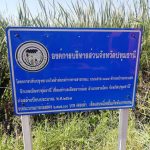 กองช่าง ดำเนินการซ่อมแซมไฟฟ้าส่องสว่างทางสาธารณะ บริเวณถนนสาย 3309 ตำบลบ้านกระแชง อำเภอเมืองปทุมธานี เชื่อมตำบลเชียงรากน้อย อำเภอสามโคก จังหวัดปทุมธานี
