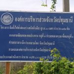 กองช่าง ดำเนินการซ่อมแซมไฟฟ้าส่องสว่างทางสาธารณะ บริเวณถนนสายเลียบคลองชลประทาน หมู่ที่ 4 ตำบลคลองควาย เชื่อมหมู่ที่ 1 ตำบลบางกระบือ อำเภอสามโคก จังหวัดปทุมธานี