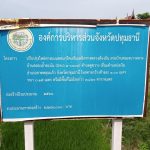 กองช่าง ดำเนินการซ่อมแซมไฟฟ้าส่องสว่างทางสาธารณะ บริเวณถนนคอนกรีตเสริมเหล็กทางหลวงท้องถิ่น สายบ้านคลองบางหลวง – บ้านคลองถ้ำตะบัน ตำบลคูขวาง เชื่อมตำบลบ่อเงิน อำเภอลาดหลุมแก้ว จังหวัดปทุมธานี