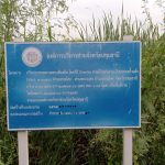 กองช่าง ดำเนินการตรวจสอบไฟฟ้าส่องสว่างทางสาธารณะ บริเวณถนนทางหลวงท้องถิ่น สายบ้านท่าลาน – บ้านคลองน้ำแล้ง ตำบลสามโคก – ตำบลกระแชง อำเภอสามโคก จังหวัดปทุมธานี