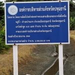 กองช่าง ดำเนินการซ่อมแซมไฟฟ้าส่องสว่างทางสาธารณะ บริเวณถนนสายเลียบคลองบางโพธิ์เหนือ หมู่ที่ 1 ตำบลบ้านฉาง อำเภอเมืองปทุมธานี จังหวัดปทุมธานี