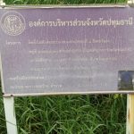 กองช่าง ดำเนินการซ่อมแซมไฟฟ้าส่องสว่างทางสาธารณะ บริเวณถนนคลองซอยที่ 8 ฝั่งตะวันตก หมู่ที่ 6-หมู่ที่ 10 ตำบลลำลูกกา อำเภอลำลูกกา จังหวัดปทุมธานี