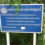 กองช่าง ดำเนินการซ่อมแซมไฟฟ้าส่องสว่างทางสาธารณะ บริเวณถนนเลียบคลองเปรมประชากร ตำบลบางพูน อำเภอเมืองปทุมธานี เชื่อมตำบลเชียงรากน้อย อำเภอสามโคก จังหวัดปทุมธานี