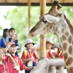 โรงเรียนวัดป่างิ้ว สังกัดองค์การบริหารส่วนจังหวัดปทุมธานี นำนักเรียน ร่วมโครงการกิจกรรมพัฒนาผู้เรียน เรียนรู้สู่โลกกว้าง ณ ศรีอยุธยา ไลอ้อน ปาร์ค ตำบลหนองขนาก อำเภอท่าเรือ จังหวัดพระนครศรีอยุธยา