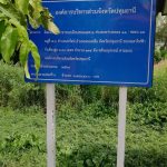 กองช่าง ดำเนินการซ่อมแซมไฟฟ้าส่องสว่างทางสาธารณะ บริเวณถนนเลียบคลองแอล 2 ช่วงระหว่างคลอง 11 – คลอง 13 หมู่ที่ 5,6 ตำบลนพรัตน์ อำเภอหนองเสือ จังหวัดปทุมธานี