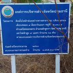 กองช่าง ดำเนินการซ่อมแซมไฟฟ้าส่องสว่างทางสาธารณะ บริเวณถนนเลียบคลอง 9 ฝั่งตะวันออก หมู่ที่ 12,13,14 ตำบลบึงทองหลาง อำเภอลำลูกกา จังหวัดปทุมธานี