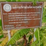 กองช่าง ดำเนินการซ่อมแซมไฟฟ้าส่องสว่างทางสาธารณะ บริเวณถนนคอนกรีตเสริมเหล็ก สายเลียบคลองสระพัฒนาตอนบน (ต่อจากโครงการเดิม) หมู่ที่ 8 ตำบลคลองควาย อำเภอสามโคก จังหวัดปทุมธานี