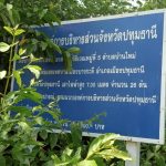 กองช่าง ดำเนินการซ่อมแซมไฟฟ้าส่องสว่างทางสาธารณะ บริเวณหมู่ที่ 5 ตำบลบ้านใหม่ เชื่อมต่อเขตเทศบาลเมืองบางกะดี อำเภอเมืองปทุมธานี จังหวัดปทุมธานี