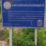 กองช่าง ดำเนินการซ่อมแซมไฟฟ้าส่องสว่างทางสาธารณะ บริเวณถนนคอนกรีตเสริมเหล็ก สายบ้านตากแดด ตำบลบางเตย อำเภอสามโคก จังหวัดปทุมธานี