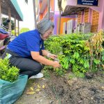 โรงเรียนวัดป่างิ้ว สังกัดองค์การบริหารส่วนจังหวัดปทุมธานี พร้อมด้วยคณะครูและบุคลากร ร่วมกันปรับปรุงภูมิทัศน์ภายในโรงเรียนให้สะอาดน่าอยู่ น่าดู ริเวณหน้าอาคารเรียนโรงเรียนวัดป่างิ้ว สังกัดองค์การบริหารส่วนจังหวัดปทุมธานี